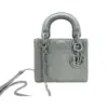Lady Dior Frosted Leather Bag