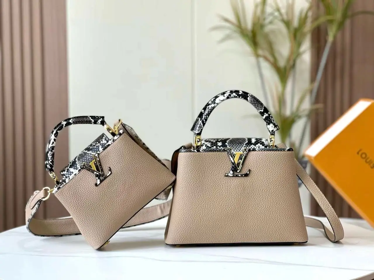 Louis Vuitton Capucines Bag Louis Vuitton Capucines Bag