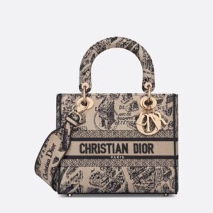 DIOR Lady D-Lite Bag