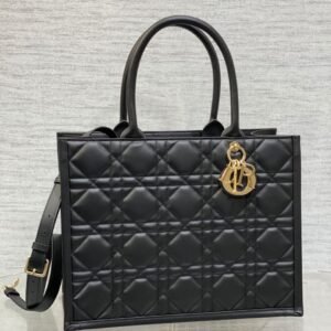 Dior Book Tote Bag