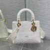 DIOR Medium Lady D-Lite Bag