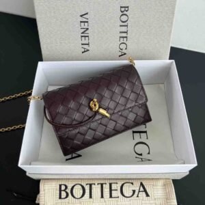 Buy Bottega Veneta Andiamo Pouch On Chain Dark Barolo